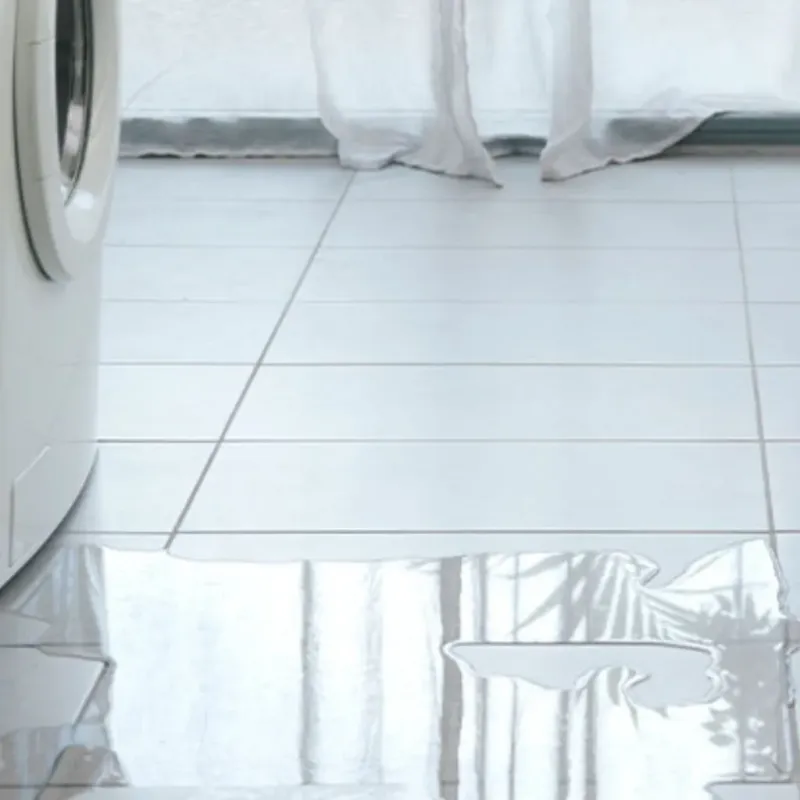 Appliance Leak Cleanup in Logan County, AR