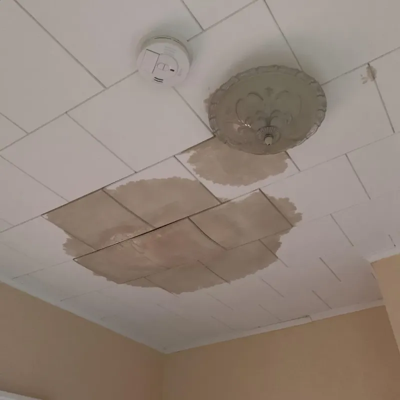 Ceiling Water Damage Repair in Logan County, AR