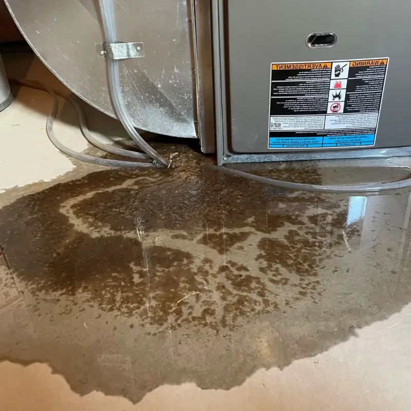 Pipe Burst and Leak Restoration in Logan County, AR