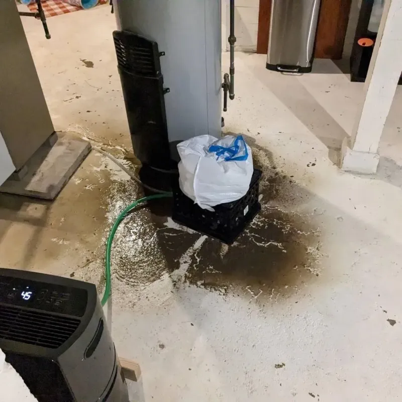 Sewage Backup Cleanup Service in Logan County, AR
